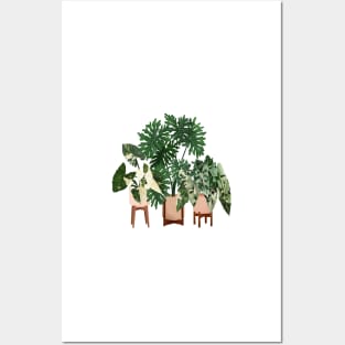 House Plants Illustration  30 Posters and Art